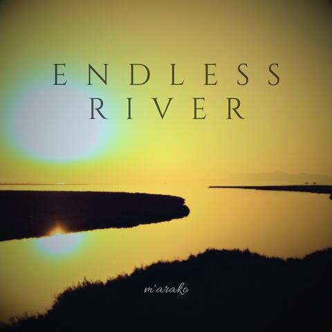 Endless River