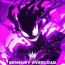 SENSORY OVERLOAD (feat. PANDEMXNIUM) (Prod.PANDEMXNIUM)