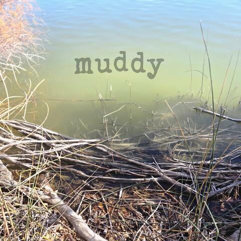 muddy