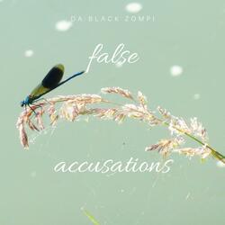 false accusation