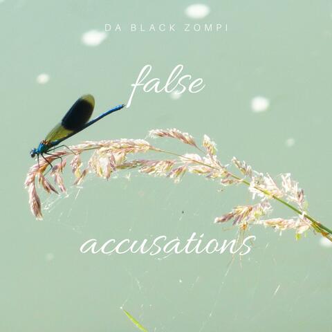false accusation
