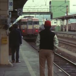 searching for the truth