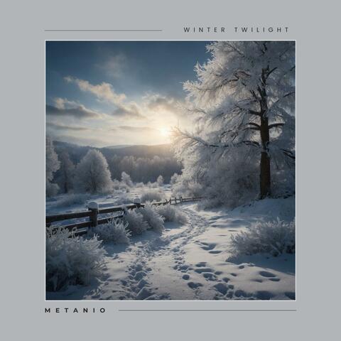 Winter Twilight