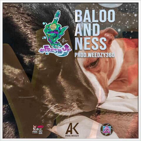 BALOO & NESS
