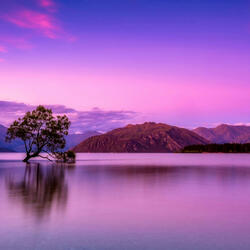 Whispers of the Moonlight