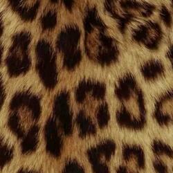 dinner time (feat. bronclair)