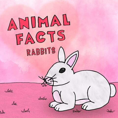 Rabbits
