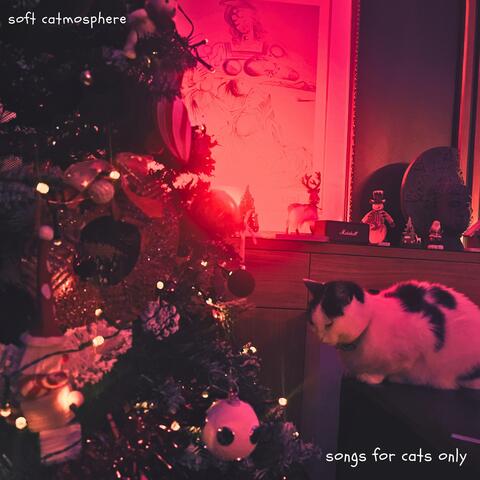 soft catmosphere