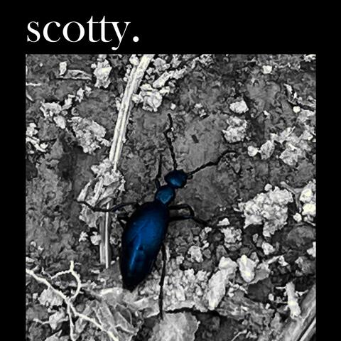 scotty