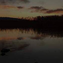 Nocturnal whisper