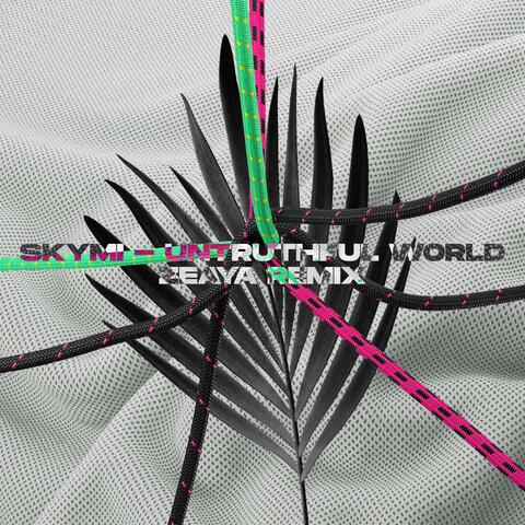 Untruthful World (feat. Skymi)