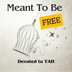 Meant To Be FREE