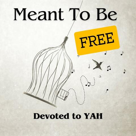 Meant To Be FREE