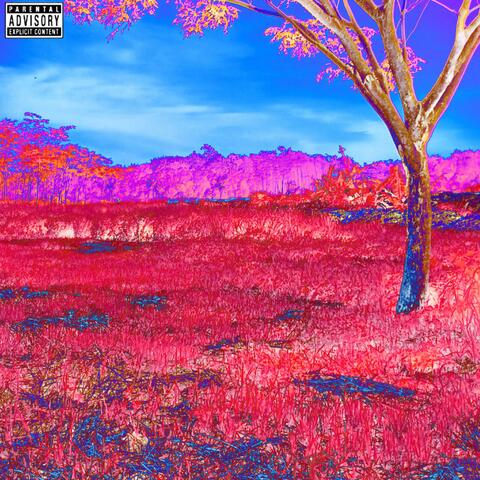 NEW WØRLD