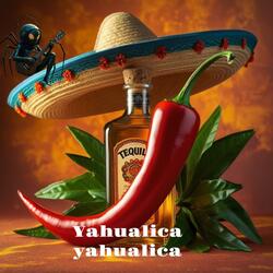 Yahualica yahualica