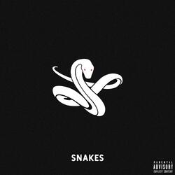 Snakes