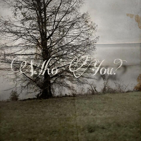 Who You?
