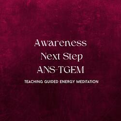 Awareness Next Step Teaching Guided Energy Meditation