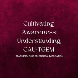 Cultivating Awareness Understanding Teaching Guided Energy Meditation