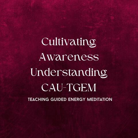 Cultivating Awareness Understanding Teaching Guided Energy Meditation