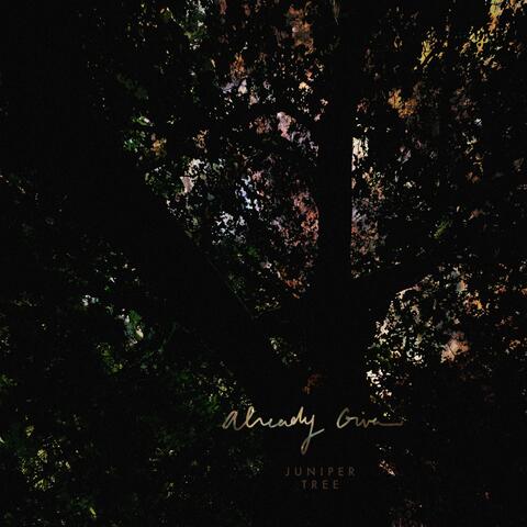 Already Given