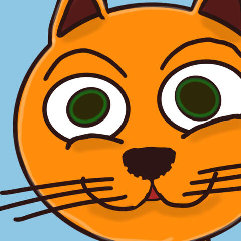 Mi amigo el gato pepin