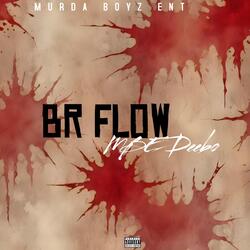 BR FLOW