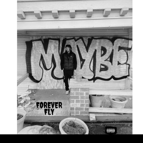ForeverFly