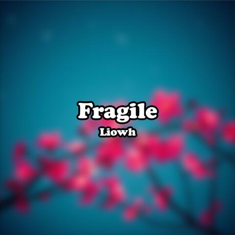 Fragile