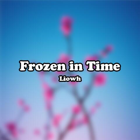 Frozen in Time