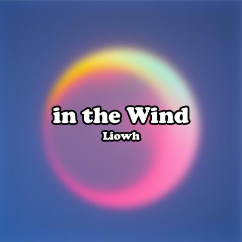 in the Wind