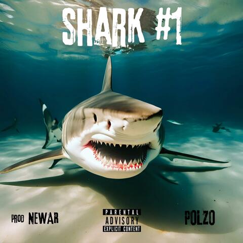 SHARK #1