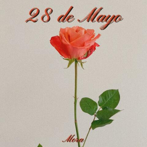 28 de Mayo
