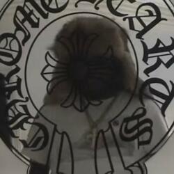 EUROS DOLLARS LIVRES