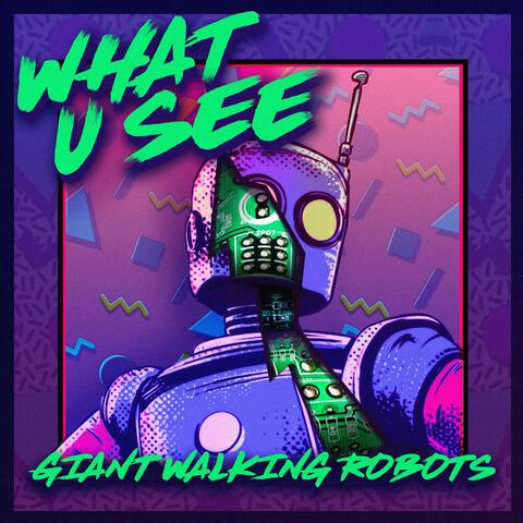 What U See (feat. Shawn Van Houten)