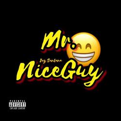 Mr. Nice Guy