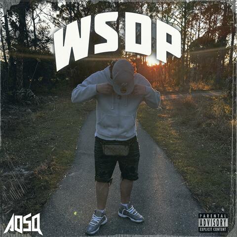 WSDP