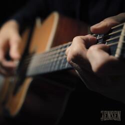 Without You (Acoustic Cover)