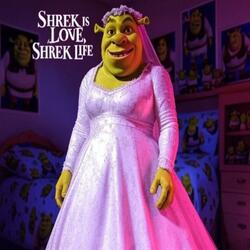 Shrek Is Love, Shrek Is Life