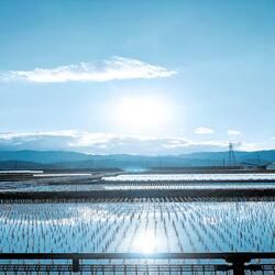 New Day (Instrumental)