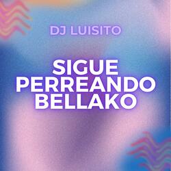 Sigue Perreando Bellako
