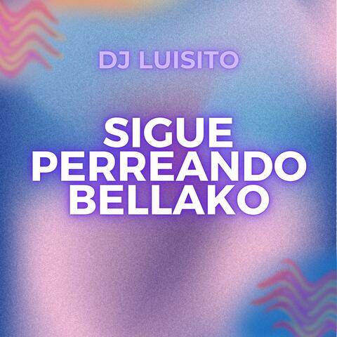 Sigue Perreando Bellako