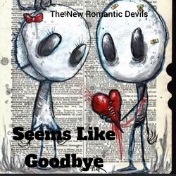 Seems Like Goodbye (Radio Edit)