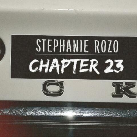Chapter 23
