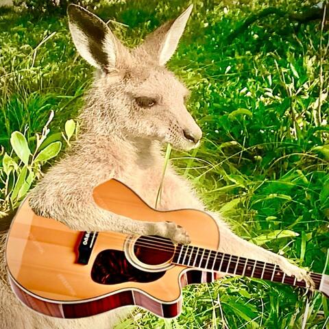 Acoustic Kangaroo Rock: 12-String Instrumental Guitar with Wildlife and Nature Sounds