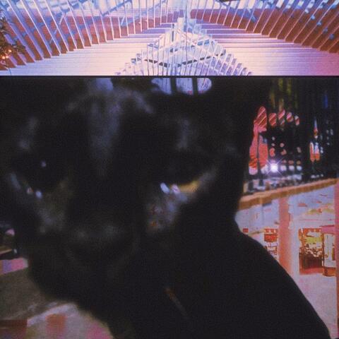 Cat Mall.