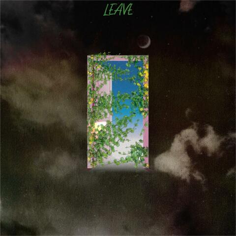 Leave (feat. viempi)
