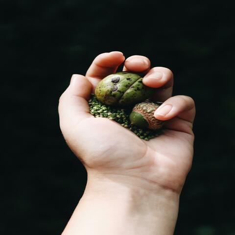 The Gentle Touch