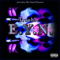 E.Y.N. (Everything You Need)