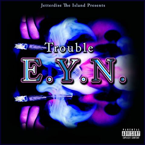 E.Y.N. (Everything You Need)